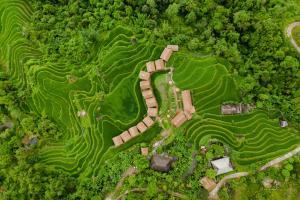 an overhead view of a garden with a pathway in the grass at Hoang Su Phi Lodge in Ha Giang