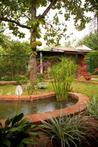 a garden with a pond in front of a tree at Gitanjali Homestay in Mysore