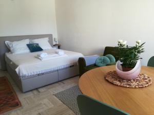a bedroom with a bed and a table with a potted plant at Studio calme et très lumineux, au pied de notre Dame de la Garde in Marseille