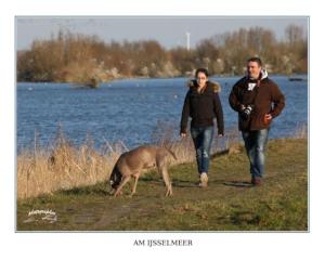 Ferienpark Vislust Haus Antje 2 Niederlande Ijsselmeer في Wervershoof: رجل وامرأه يسيرون كلب ع البحيره