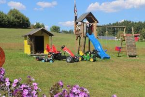 un gruppo di giocattoli in un campo con parco giochi di Gästehaus Penzkofer F**** a Viechtach