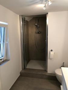 a shower stall in a bathroom with a toilet at Deichhof von 1843 in Tossens direkt an der Nordsee für 12 Personen in Butjadingen +26 photos