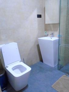 łazienka z toaletą i umywalką w obiekcie Palmyrah Court Apartment 2BR w Kolombo