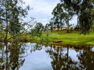 Φυσικό τοπίο κοντά σε αυτό το σαλέ