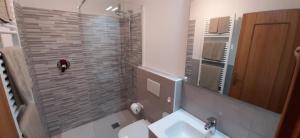 une salle de bain avec toilettes, lavabo et miroir dans l'établissement Appartamento Pampeago 10, à Tesero 64 autres photos