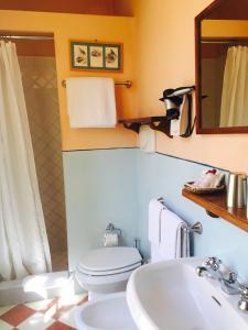 a bathroom with a toilet and a sink and a mirror at Residenza Johanna I in Florence