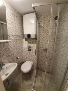 een badkamer met een douche, een toilet en een wastafel bij Kuća Lukin in Betina
