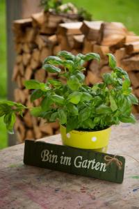Zahrada ubytování Gartenstudio Waldblick