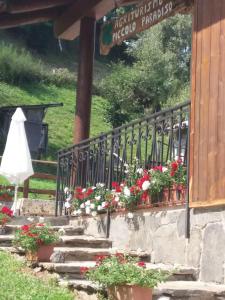 Zahrada ubytování Agriturismo Piccolo paradiso