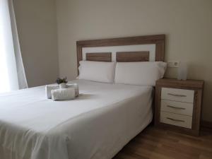 薩拉曼卡的住宿－Apartamento Turistico Puente Romano P3 BAJO - B，一间卧室配有一张白色大床和床头柜