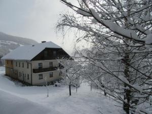 een huis in de sneeuw met sneeuw bedekte bomen bij Ferienhaus König in Sankt Michael im Lungau