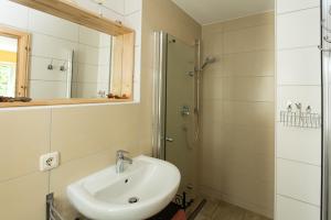 a bathroom with a sink and a shower at Hügelhus in Kloster