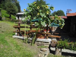 Zahrada ubytování Agriturismo Piccolo paradiso