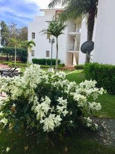 une brousse de fleurs blanches devant un bâtiment dans l'établissement Los Corozos Apartment G1 Guavaberry Golf & Country Club, à Juan Dolio