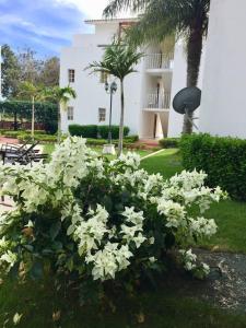 Los Corozos Apartment G1 Guavaberry Golf & Country Club في خوان دوليو: حوش من الزهور البيضاء أمام المبنى