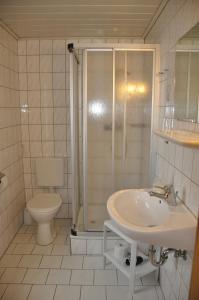 een badkamer met een douche, een wastafel en een toilet bij Hotel Berggarten in Brotterode
