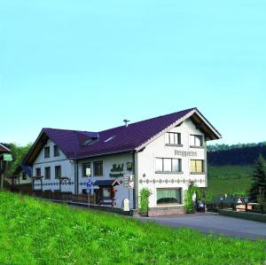 een groot wit gebouw op een heuvel met groen gras bij Hotel Berggarten in Brotterode