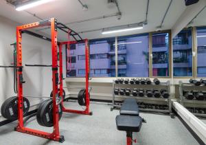 Fitness centrum a/nebo fitness zařízení v ubytování 45 by Director