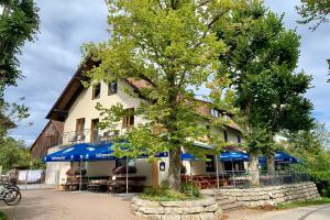 a tree in front of a building with blue umbrellas at Hohe Tanne in Aurbach