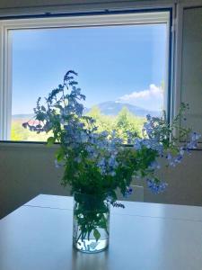 a vase with blue flowers sitting on a table in front of a window at La Finestra Sull'Etna in Motta SantʼAnastasia