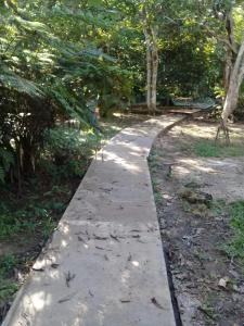 a walking path in a park with trees at Palmayacu - Refugio Amazónico in Leticia