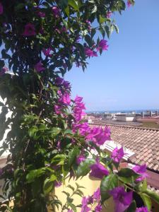 サレルノにあるFronte al Portoの紫色の花束