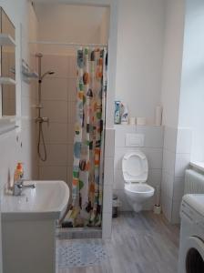 a bathroom with a shower with a toilet and a sink at Apartment Alser in Vienna