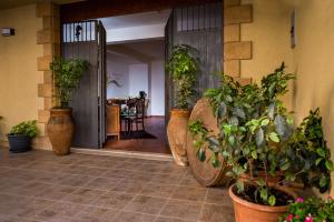 A garden outside Piccolo Sole d'oro - appartamenti