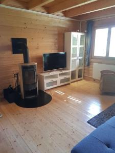 ein Wohnzimmer mit einem Kamin und einem Flachbild-TV in der Unterkunft Idyllische Holzhütte mit Wasserzugang und Sauna in Ketzin