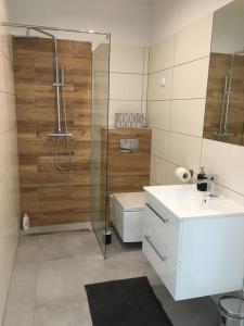 uma casa de banho com um chuveiro, um lavatório e um WC. em Studio Fibra Lungo em Rybnik