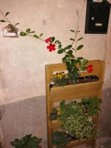 Fotografie z fotogalerie ubytování Antico Borgo v destinaci Bagnoregio