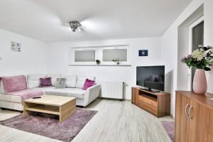 TV a/nebo společenská místnost v ubytování Apartament Esja