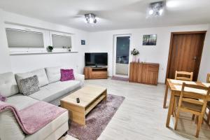 TV a/nebo společenská místnost v ubytování Apartament Esja