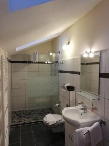a bathroom with a sink and a toilet and a mirror at Domizil & Dümmer in Lembruch +32 photos