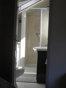 a bathroom with a shower and a sink and a toilet at LA CONTAMINE in Nâves-Parmelan