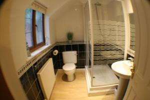 a bathroom with a toilet and a shower and a sink at Hooters Apartment EV Point in Wadebridge +17 photos