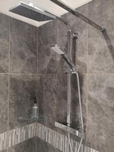 a shower with a shower head in a bathroom at Honeysuckle Homestead in Dinton