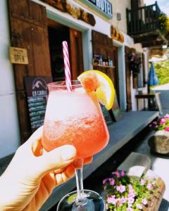 a person holding up a drink with a slice of orange at Hôtel Pension du Lac Bleu in La Gouille