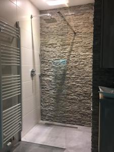 La salle de bains est pourvue d'une douche et d'un mur en pierre. dans l'établissement Akker duplex, à Mortsel