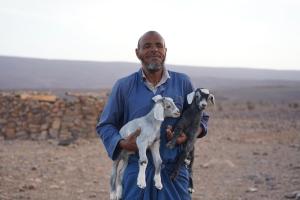 Domácí mazlíčci ubytovaní s hosty v ubytování Bivouac Les Nomades & Foum zguid to chegaga tours