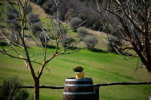 a potted plant sitting on a barrel next to a fence at CASALE AL LAGO con PISCINA E SAUNA in Corbara