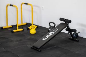 Posilňovňa alebo fitness centrum v ubytovaní Villa Voinic 2