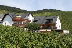una casa en un viñedo con un montón de viñas en Gästehaus Kirchlay, en Kröv