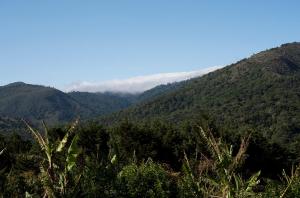 una vista de las montañas con nubes en el fondo en Cedrela Eco-Lodge & Restaurante, en Copey