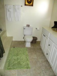 a bathroom with a toilet and a green rug at Virginia City Inn in Virginia City