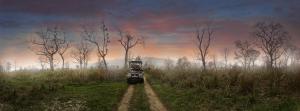Meghauli şehrindeki Barahi Jungle Lodge tesisine ait fotoğraf galerisinden bir görsel