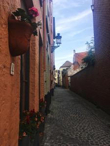 um beco com um vaso de flores na lateral de um edifício em City Flats by Lybeer Hotel Group em Bruges