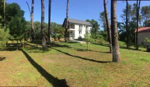 a house in the middle of a field with palm trees at Private Cottage at the Black sea in Shekvetili