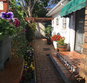 a garden with flowers and plants on a patio at Carrington Cottage in Cape Town