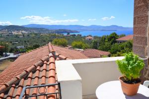 a view from the roof of a house with a plant at Mpaliaka Myrsini in Mythimna